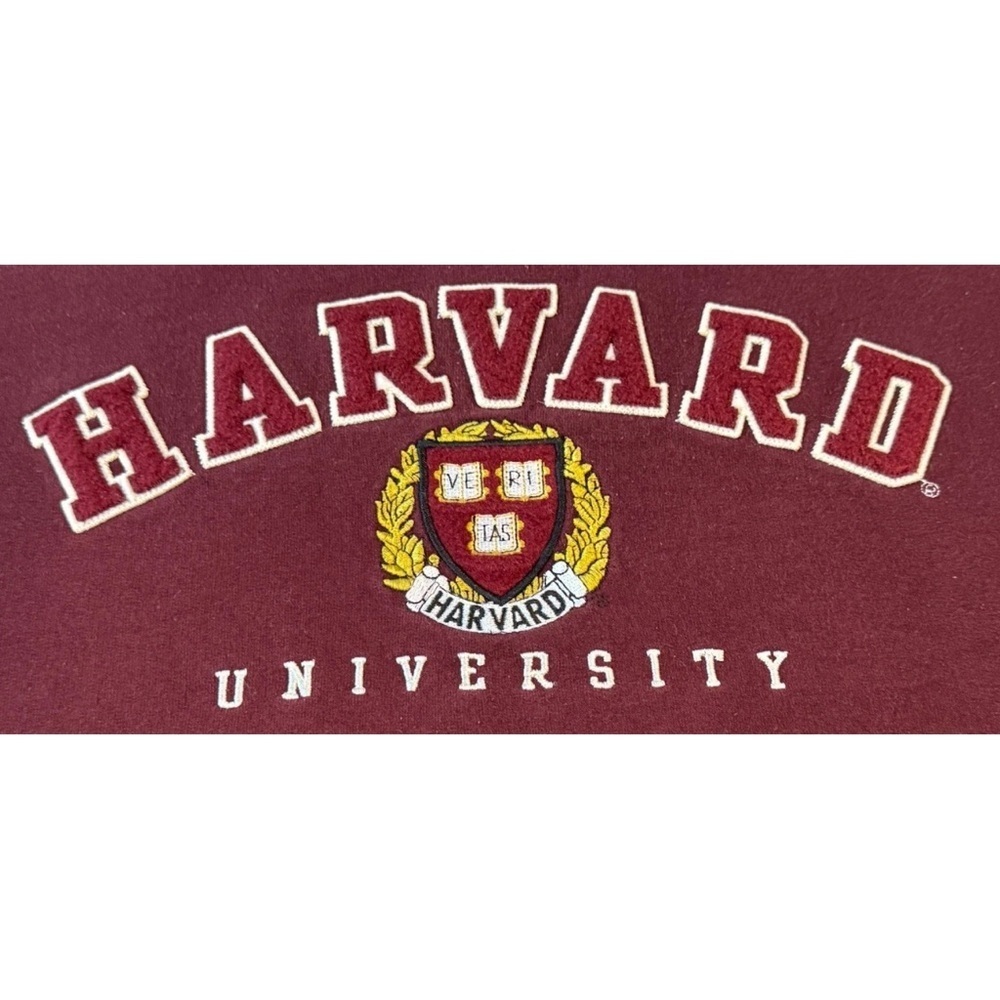 Vintage 90’s Harvard University Champion Sweatshirt Embroidered Felt Spell Out - Picture 8 of 9